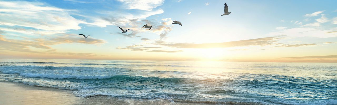 A serene beach scene with gentle waves, birds flying, and a golden sunrise under a clear sky with scattered clouds.